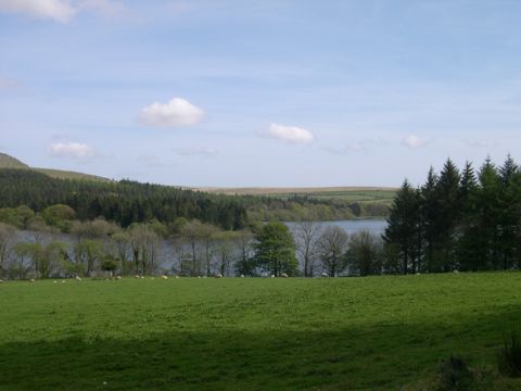 burrator reservoir