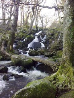 becky falls