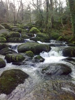 beck falls