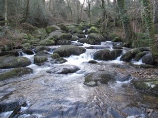 becky falls