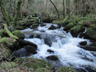 becky falls