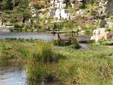 haytor fishpond