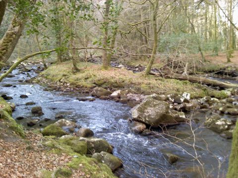 Ivybridge river walk