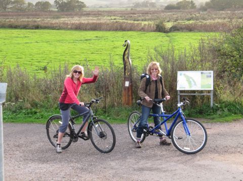 exeter cycle route