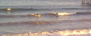 surfing at teignmouth